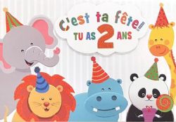 2 ANS - CARTE D'ANNIVERSAIRE GÉNÉRALE - C'EST TA FÊTE TU AS 2 ANS - DE MILLBROOK